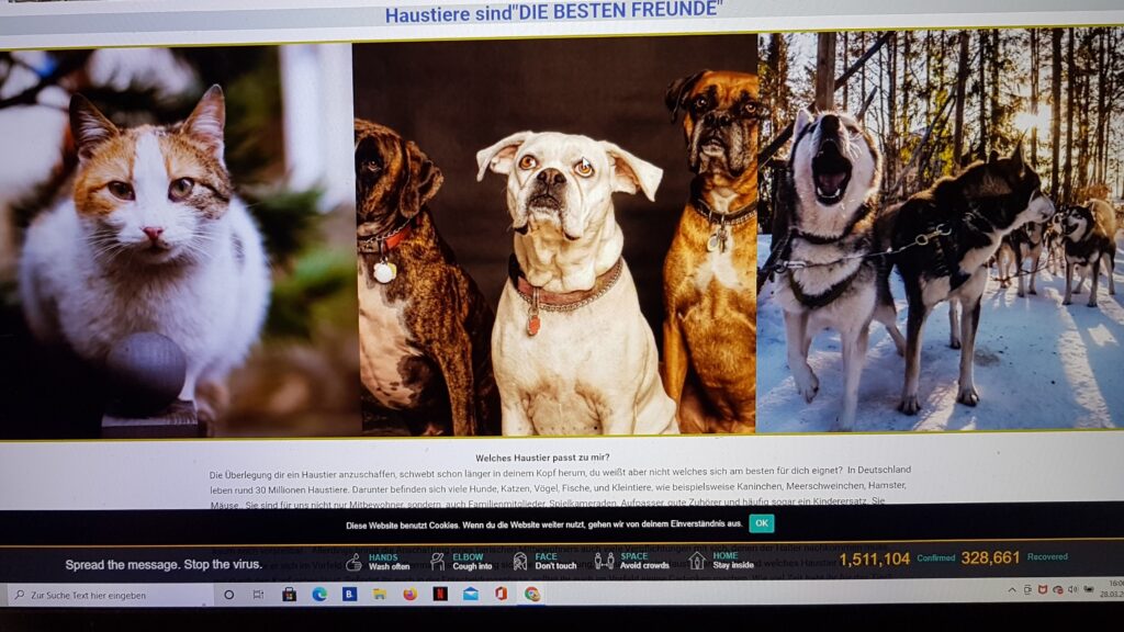 20210328 160623 2 1024x576